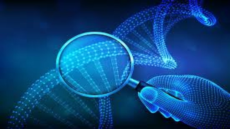 BizInfoz-businessforsale